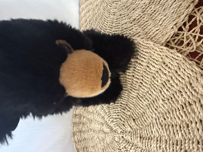 Wild Republic Peluche - Ours Noir - photo numéro 2