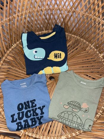 Lot de 3 teeshirts taille 24 mois