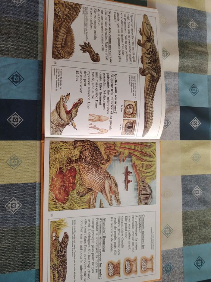 Livre sur le crocodile - photo numéro 18