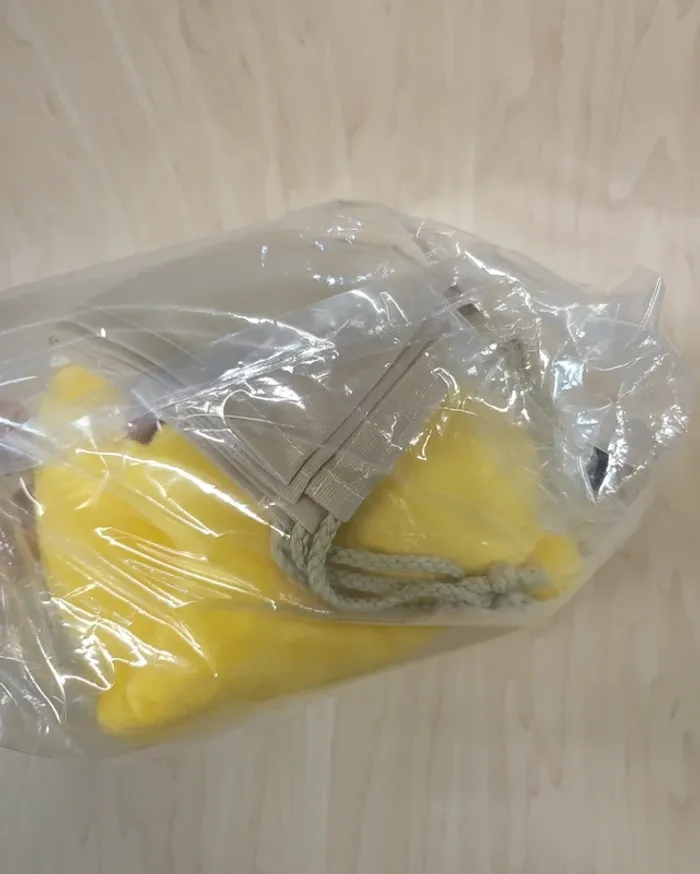 Peluche Pokemon Ichibankuji 2023 - photo numéro 3