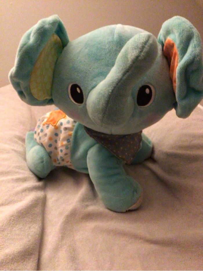 Éléphant qui marche - photo numéro 3