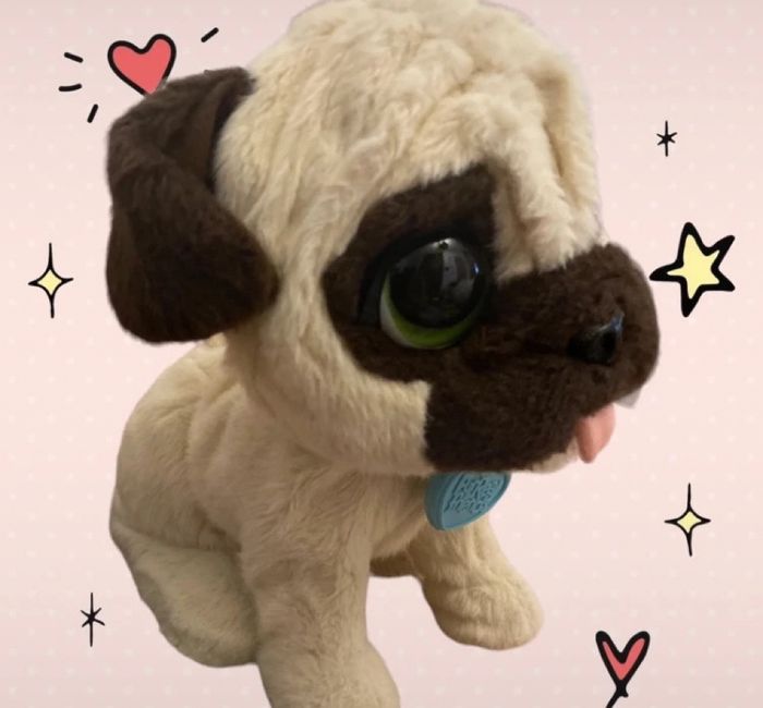 Chien interactif u - photo numéro 4