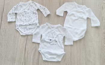 Bodies éléphants