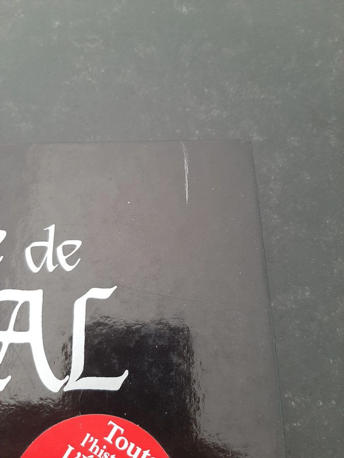 BD intégrale L'épée de cristal - Goupil, Crisse - EO - photo numéro 4