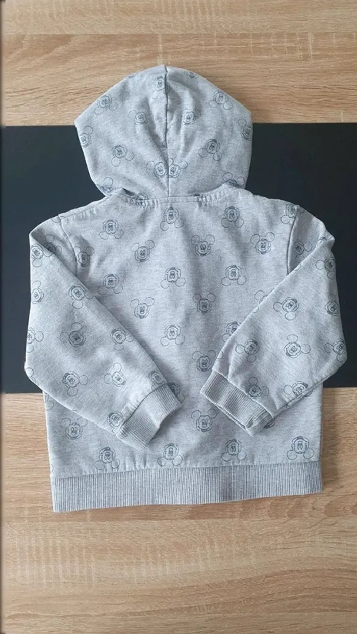 Gilet à capuche 24 mois - photo numéro 3