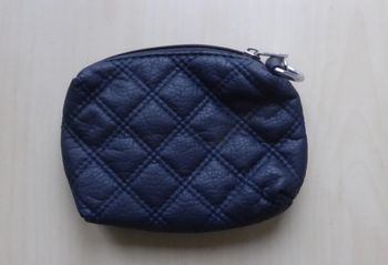 Pochette bleue