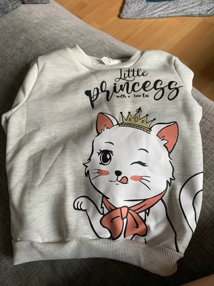Ensemble chat un an