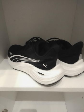 Basket puma