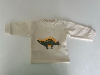 Pull bébé