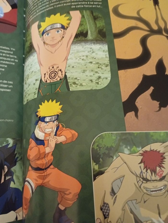 La grande imagerie Naruto - photo numéro 4