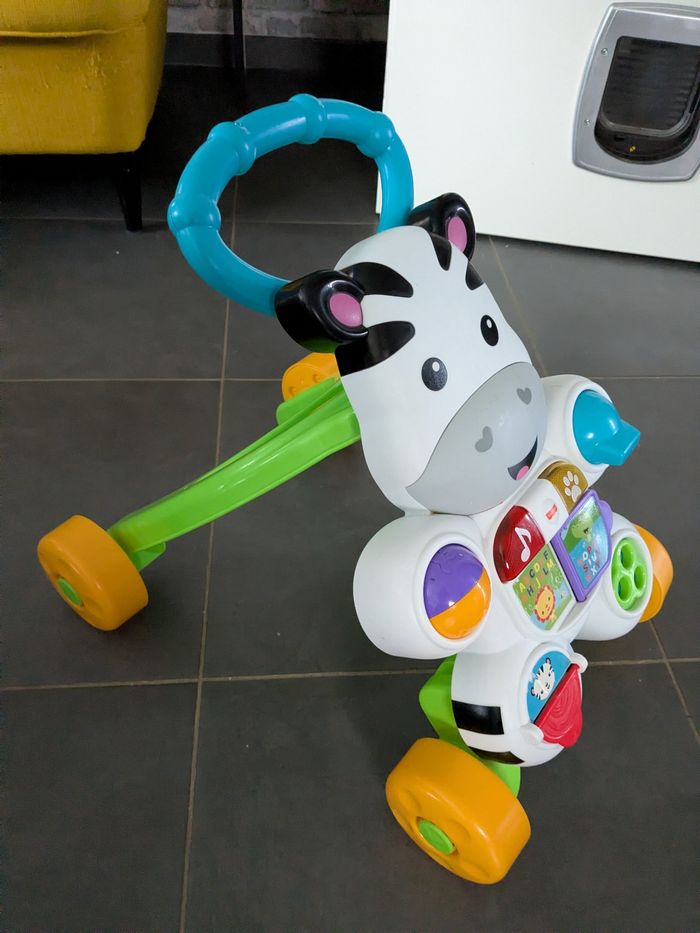 Chariot de marche - photo numéro 2