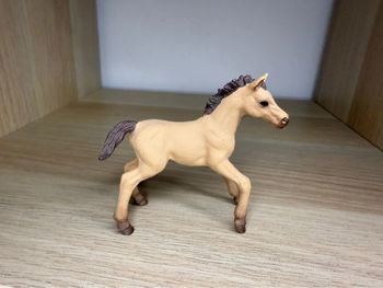 Pouliche pur sang anglais schleich