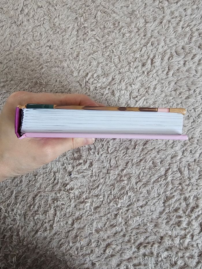 Livre gros tome la compil 8 - photo numéro 6