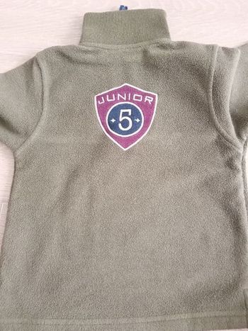 Pull camionneur polaire