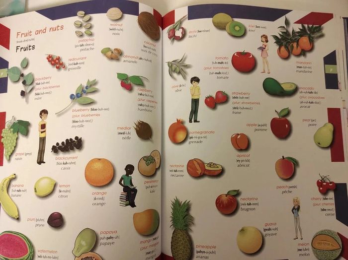 Dictionnaire anglais - photo numéro 5