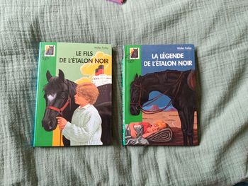 Lot de 2 livres bibliothèque verte