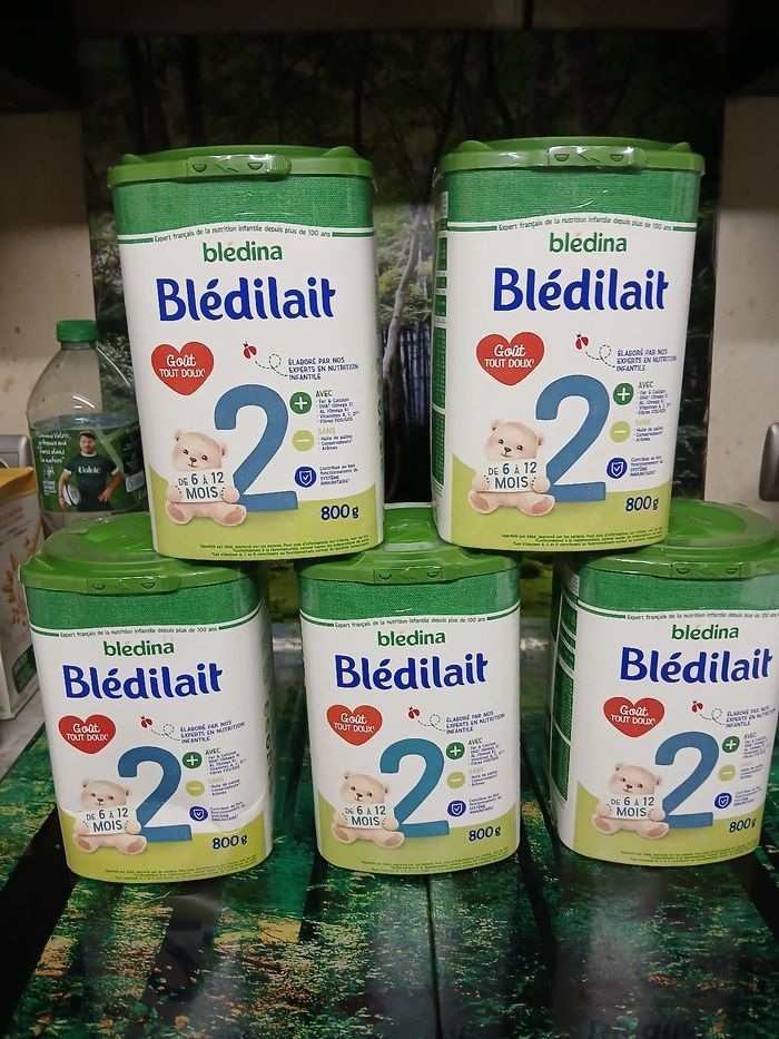 Lot 5 pots Blédilait (Blédina) 2ème âge – 800 g – Neufs (6–10 mois)