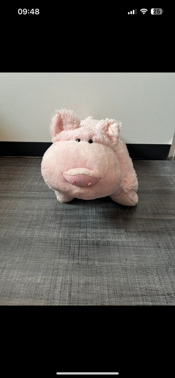 Coussin cochon