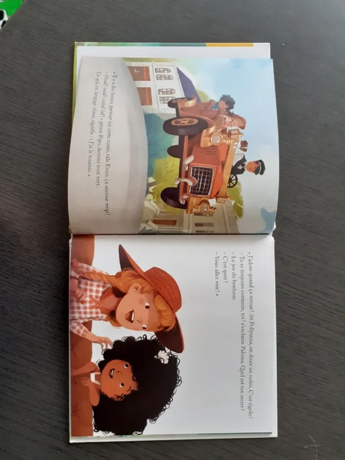 Les aventures de Pollyanna - photo numéro 4