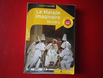 LE MALADE IMAGINAIRE