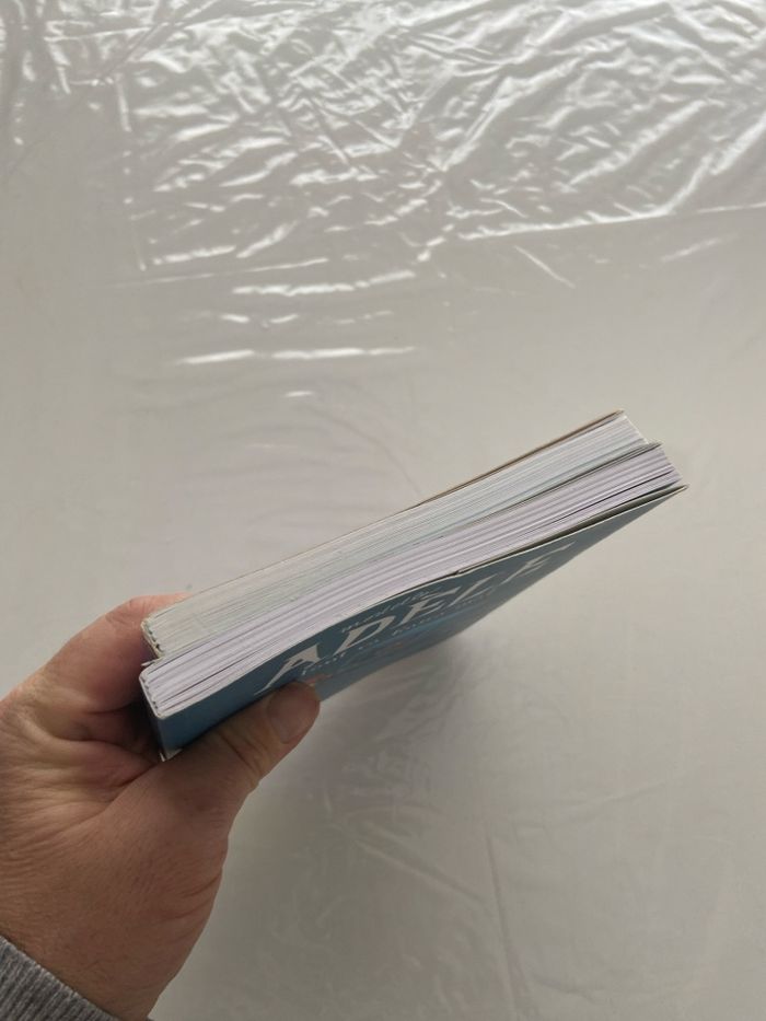 Lot de 2 Livres – Mortelle Adèle (Tomes 7 & 8) - photo numéro 6