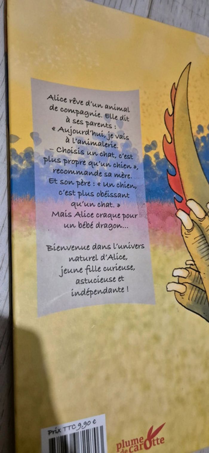 Livre enfant Alice adopte un monstre - photo numéro 3