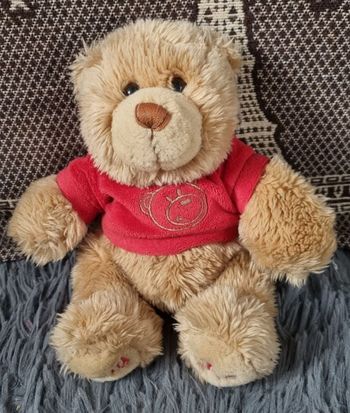 Peluche ourson avec t-shirt