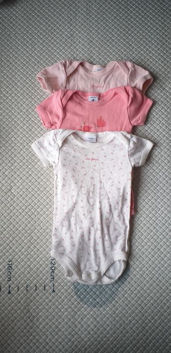 Lot 3 bodies manches courtes