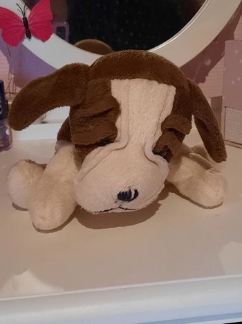 Petit chien peluche