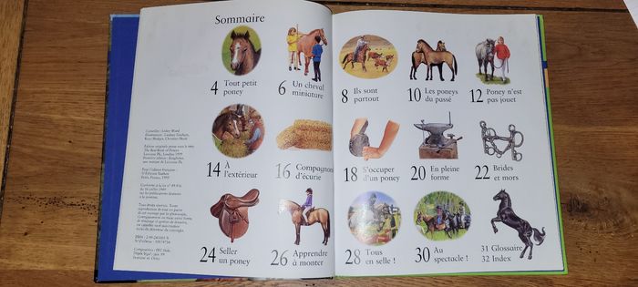 Les poneys - photo numéro 5