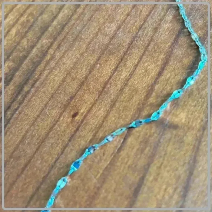 Chaine courte - photo numéro 4