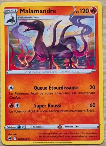 Malamandre Zénith Suprême