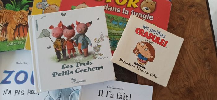 Livres pour enfant zou pirates bambi - photo numéro 4