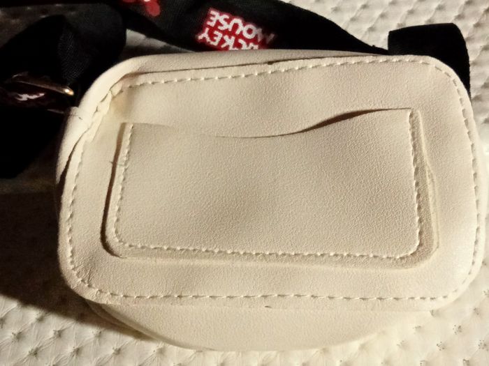 Sac a main , Disney - photo numéro 5