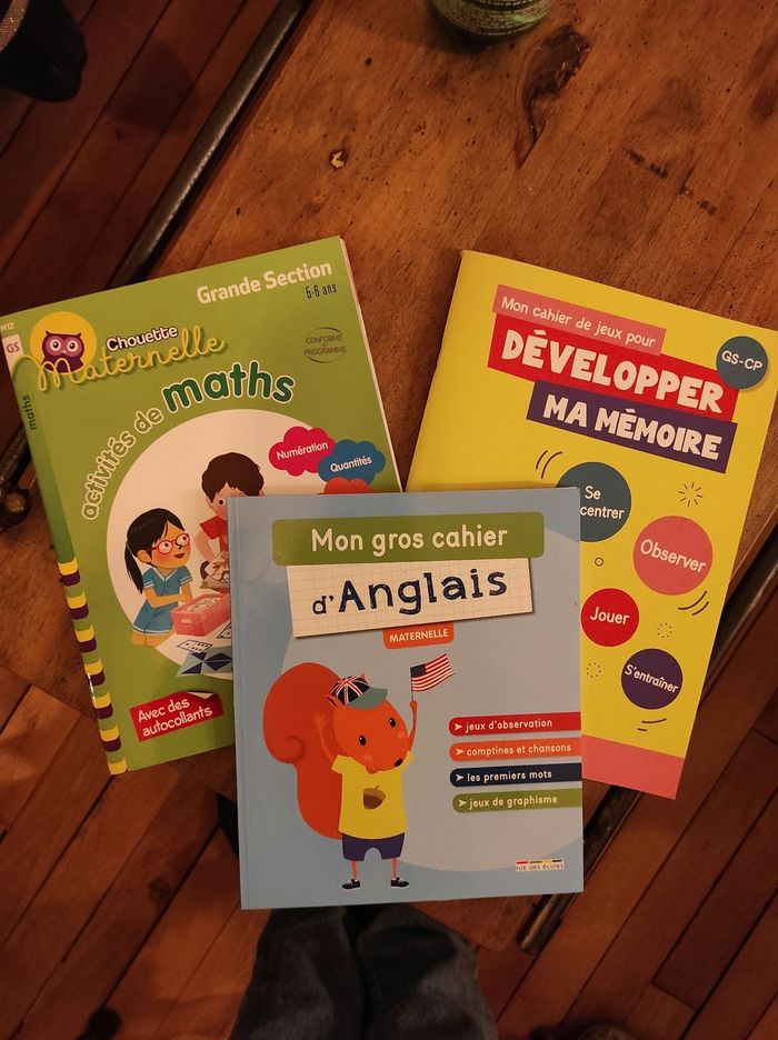 Lot 3 cahiers exercices Grande Section