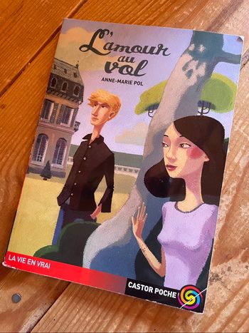 Livre - L’amour au vol
