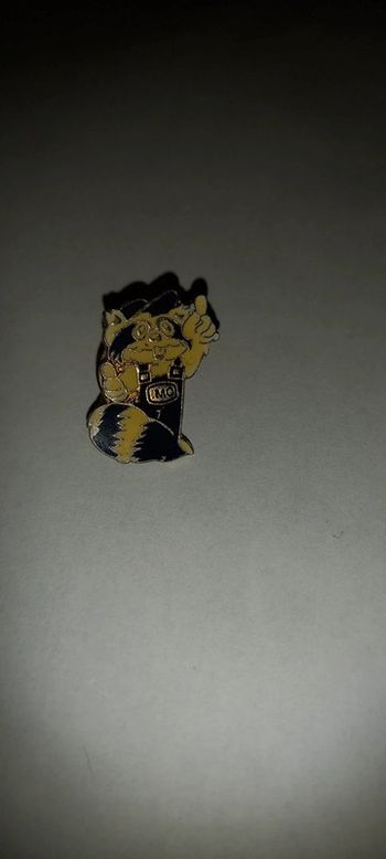 Pin's imo