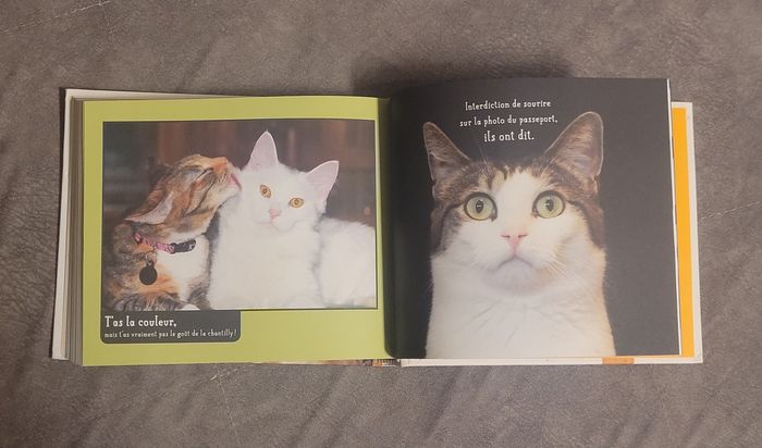 Tu peux pas comprendre, t'es pas un chat ! Alice Zabée, Aurélie Lemoine - photo numéro 6