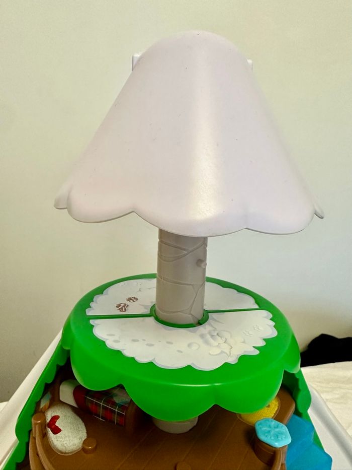 Sapin klorofil - photo numéro 7