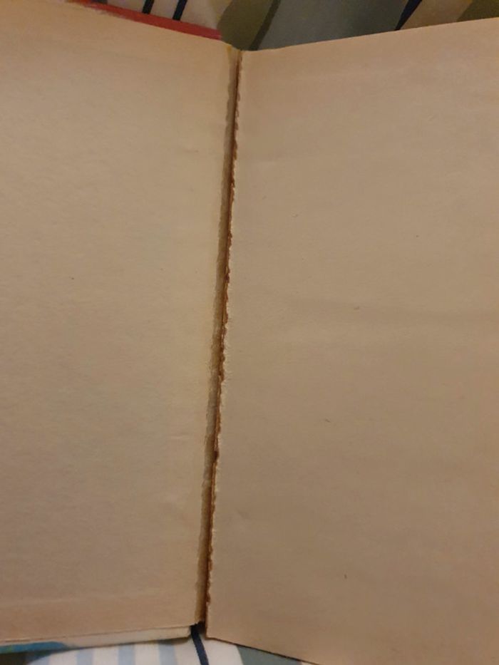 Alice Ecuyère Bibliothèque verte - photo numéro 4