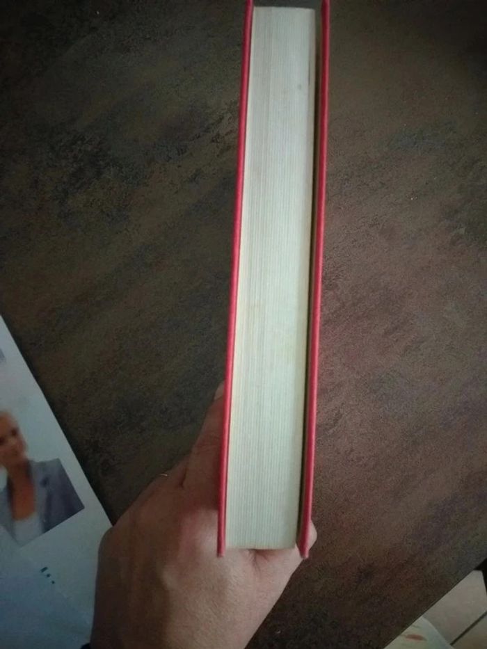 Livre à reliure L'enfant du mal - photo numéro 3