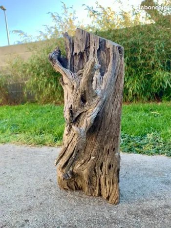 Branche bois 🪵 flotter