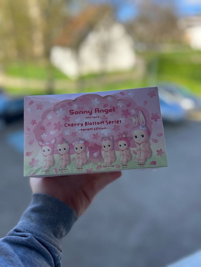 Boîte Scellée Sonny Angel Blossom