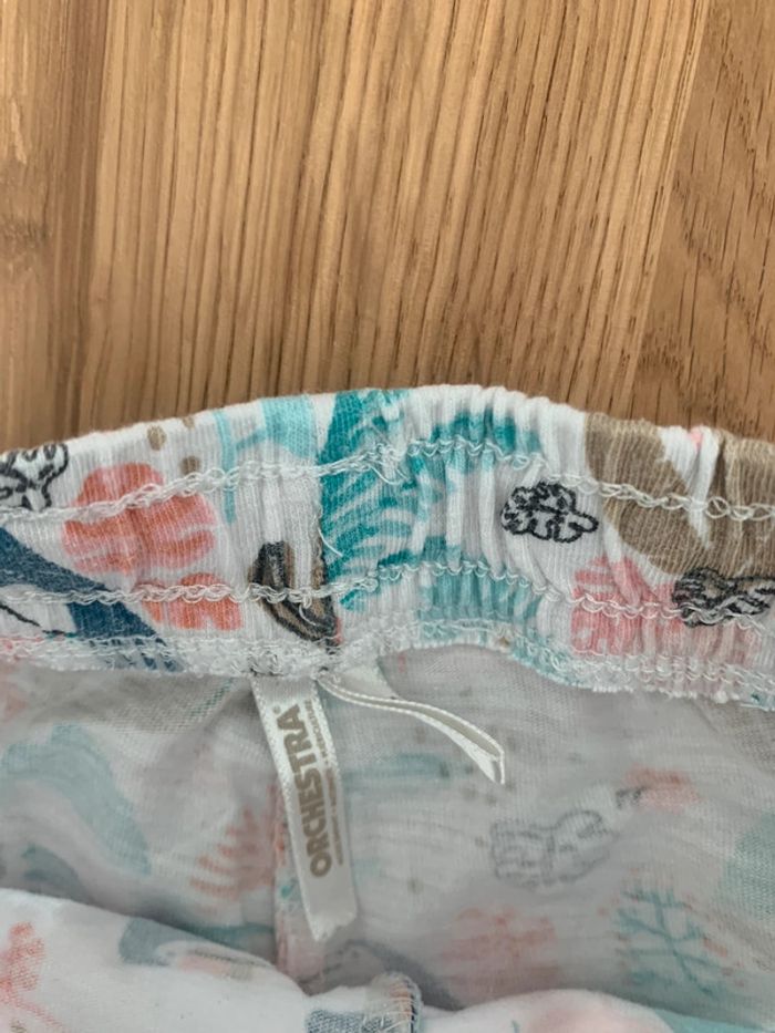 Short perroquet orchestra - photo numéro 2