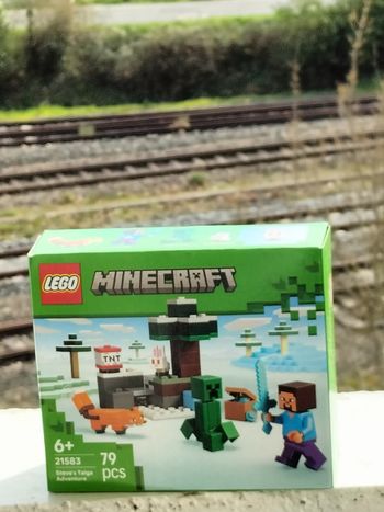 Lego Minecraft les aventures de Steve dans la taïga 