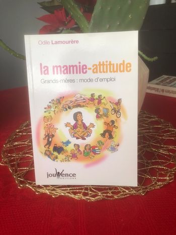 La mamie attitude - Odile Lamourère