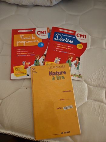 Manuels cm1