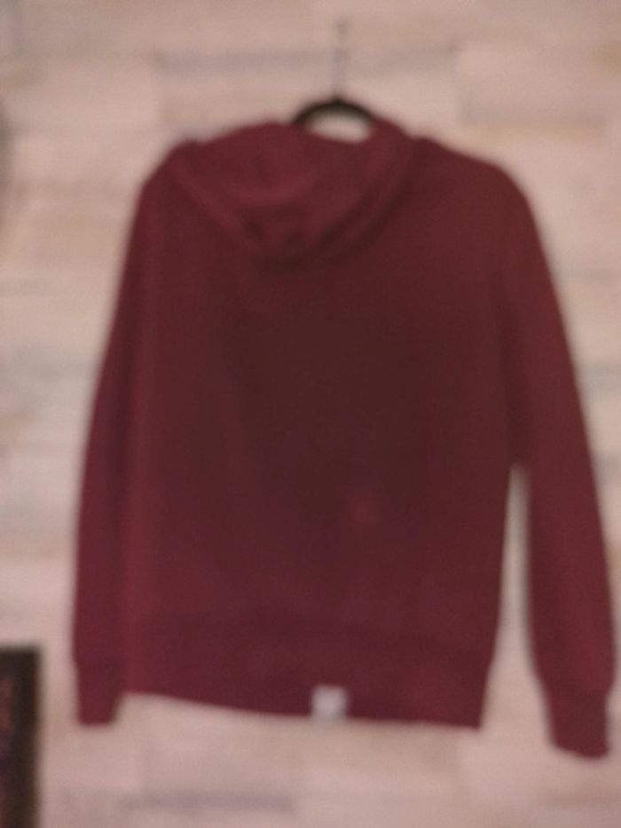 Sweat a capuche m zippé gilet - photo numéro 3