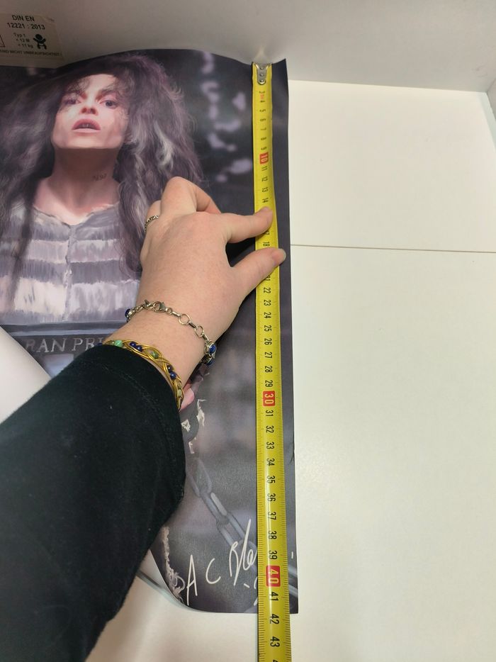 Affiche Bellatrix Lestrange Harry Potter - photo numéro 4