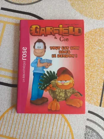 Livre bibliothèque rose Garfield et Cie tome 6